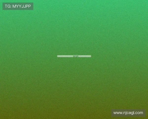 皇马球迷伯纳乌亮相巴斯克斯TIFO致敬行动展现深厚情感